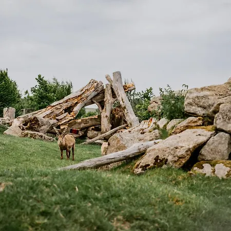 假日公园 Ikuna Naturresort 4*