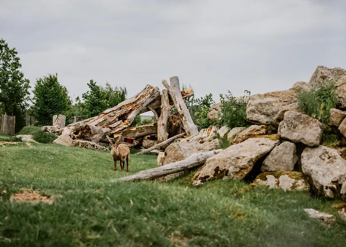 Prázdninový areál Ikuna Naturresort 4*
